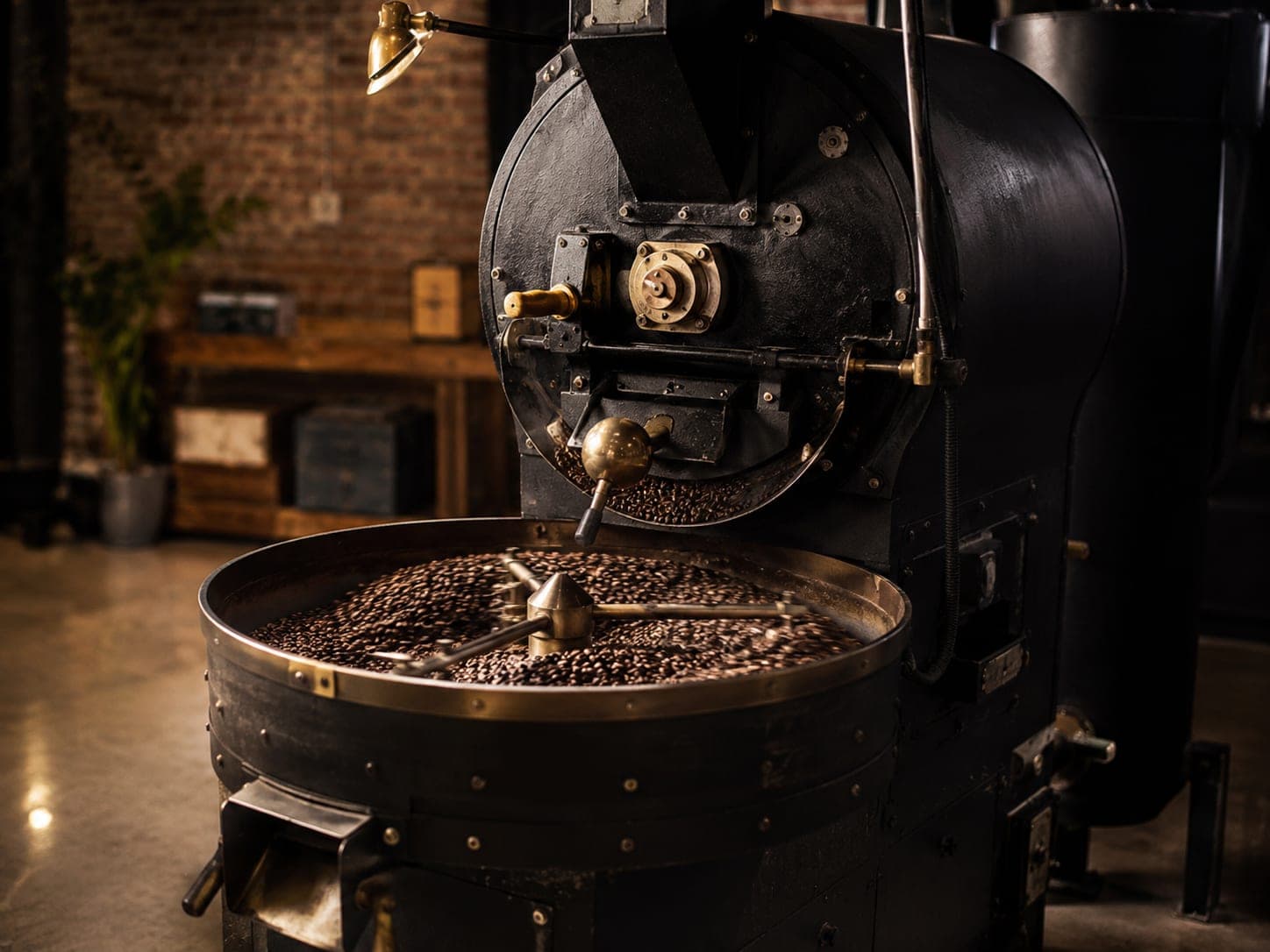 Vintage cast-iron drum coffee roaster with brass fittings and freshly roasted beans tumbling in the open cooling tray, in a craft roastery interior.